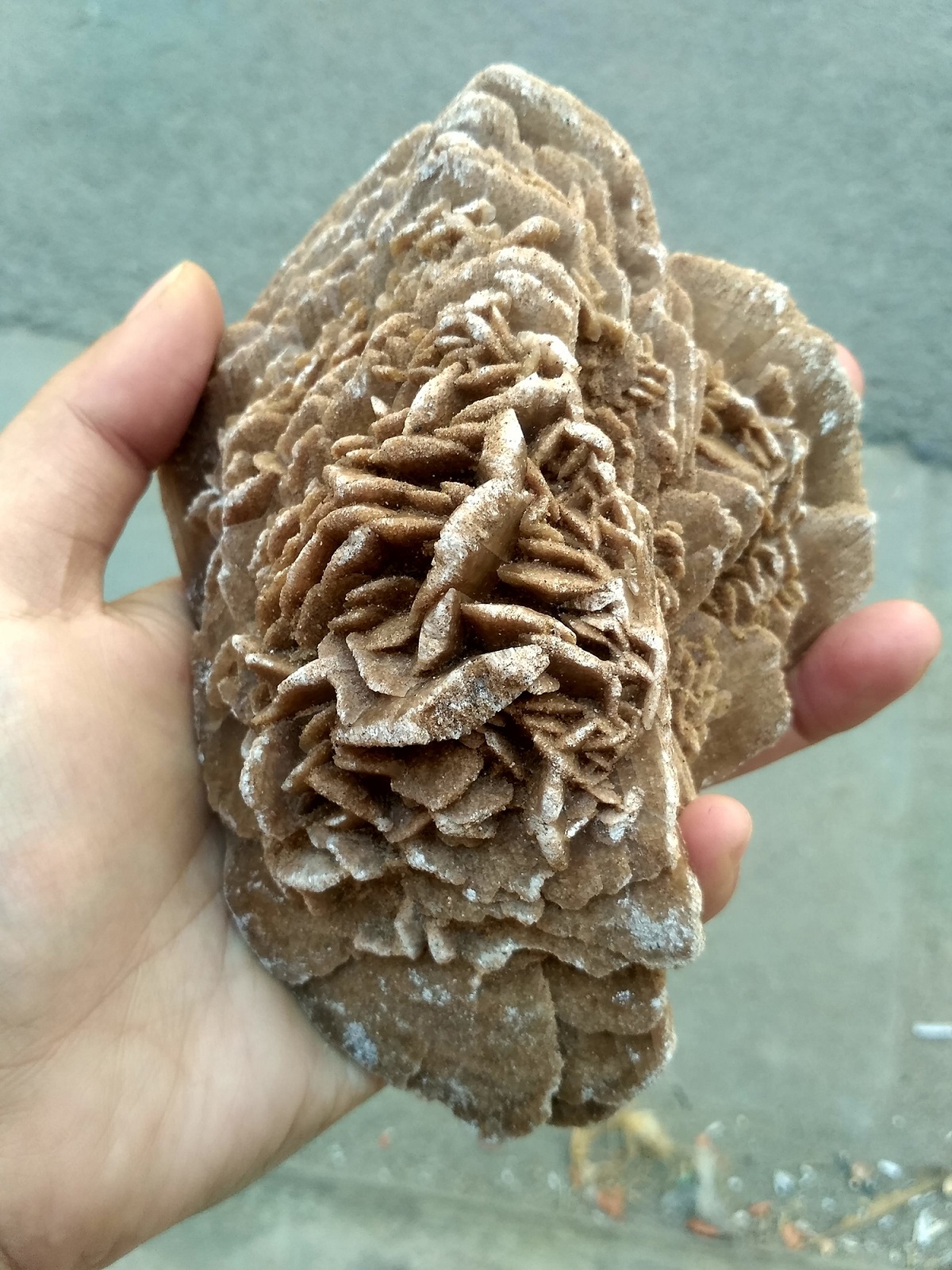 1 viên đá hoa hồng sa mạc
