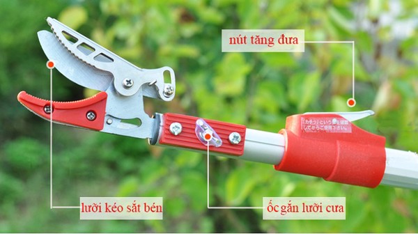 Kéo cắt cành trên cao 4 mét Kéo hái hoa quả kết hợp cưa cành Kéo cắt cành trên cao 4 mét Kéo hái hoa quả kết hợp cưa cành