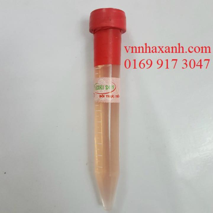 Kích Keiki duy đỏ-kích chồi và hoa