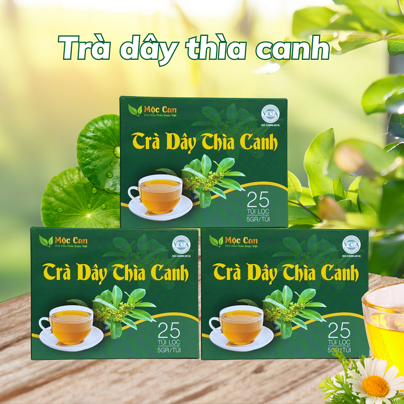  Combo 3 hộp Trà dây thìa canh Mộc Can hộp 25 túi lọc 