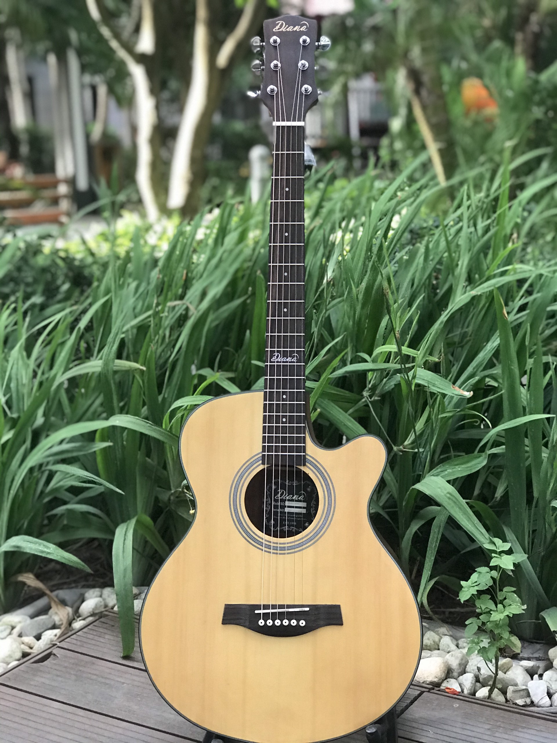 Đàn guitar acoustic Diana D815NM - Gỗ bách tùng chất lượng tốt