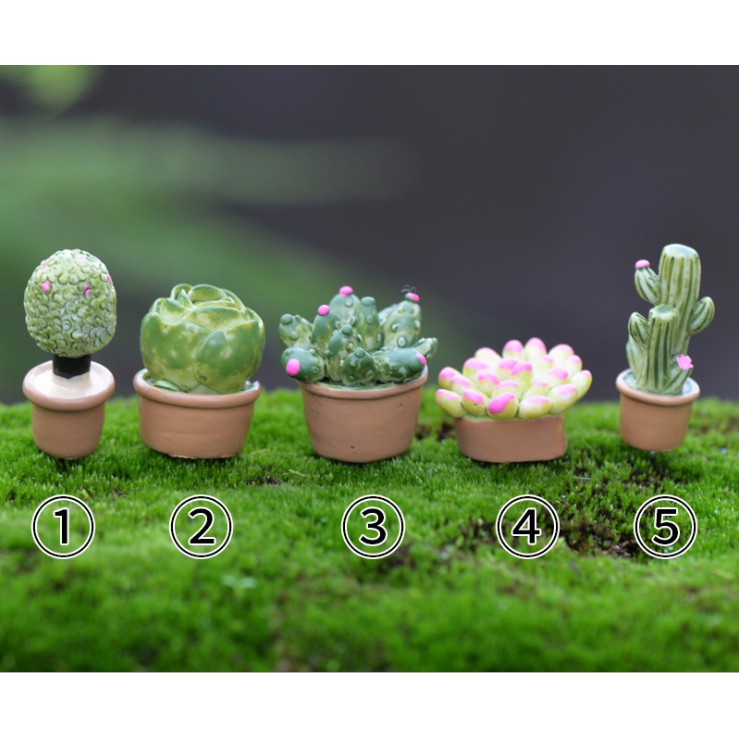 Mô hình cây xương rồng, sen đá loại chậu trơn kiểu dáng đơn giản, giá rẻ (SMD-103)Mẫu số 1