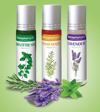 Combo Dầu gió bi lăn thảo dược 3 mùi Lavender Mint Fresh Rosemary
