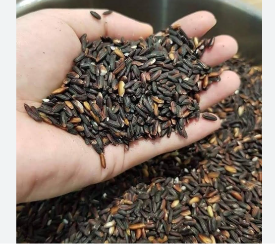 Nếp cẩm, nếp than dẻo ngon thơm đặc sản miền tây bắc