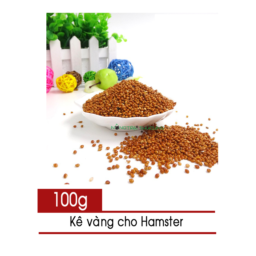 Hạt Kê vàng dành cho Hamster, Bọ, Hamster -