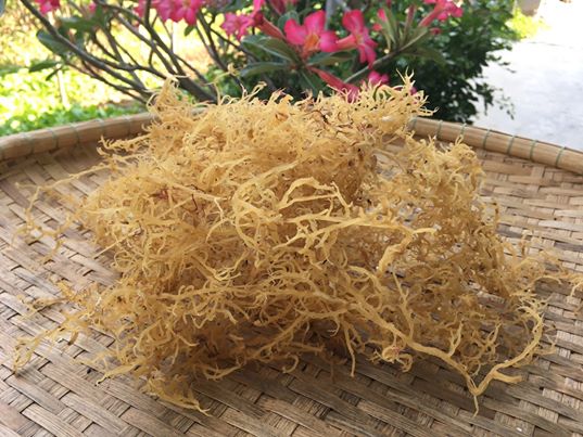 Rong sụn khô ông thắng - 100g