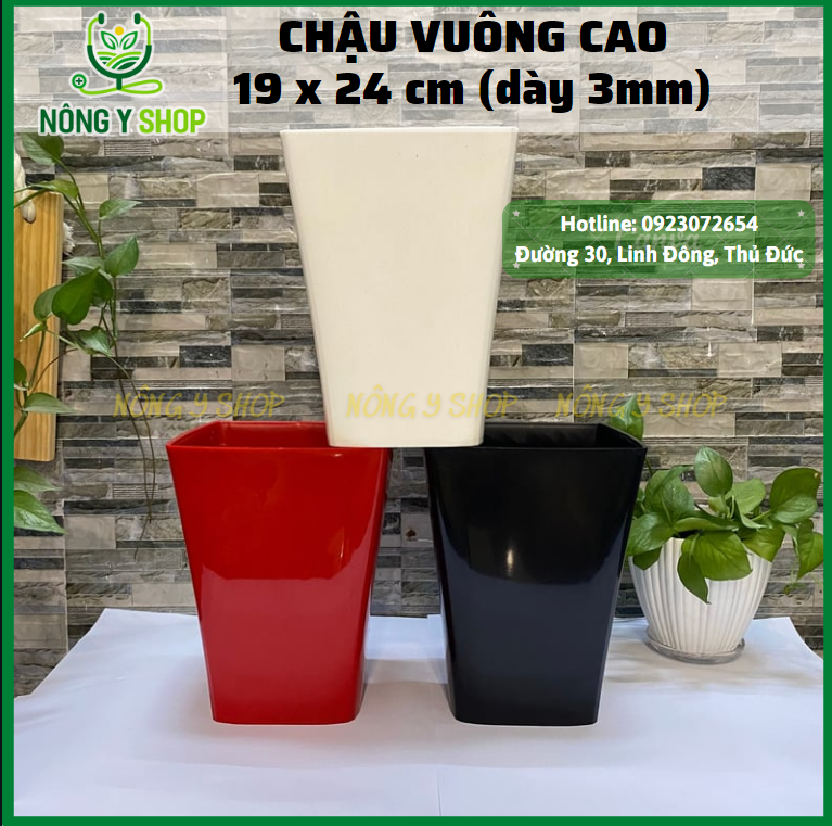 Size 19-24, chậu nhựa vuông cao, chậu vuông cao, chậu nhựa dày, bóng, chậu hoa, cây kiểng