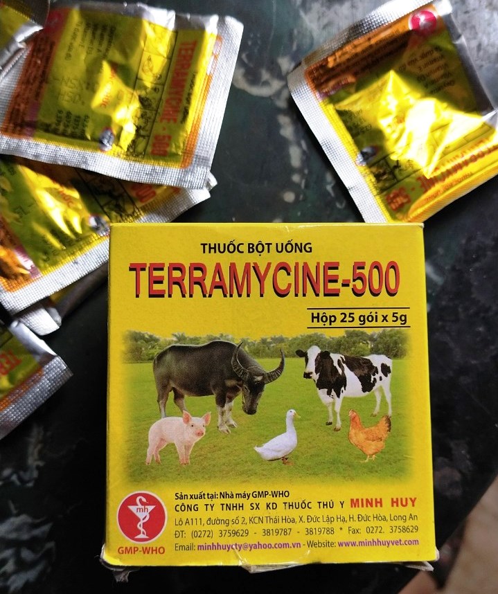 10 gói Bột cho gà, vịt chim cảnh,+gia cầm Terramycin 500 khắc tinh còi cọc, chậm lớn, tiêu chảy.