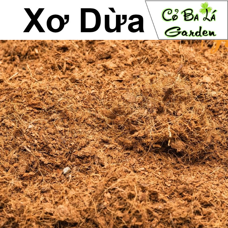 Xơ dừa,mụn dừa,mụn xơ dừa.
