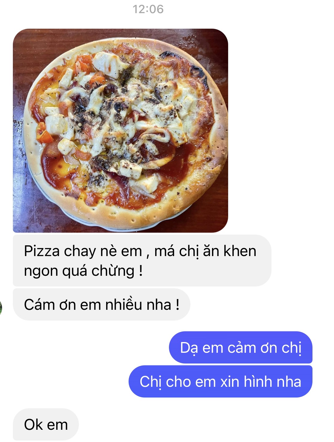 Đế bánh pizza - sz 16cm - sét 2 cái, 5 cái, 10 cái