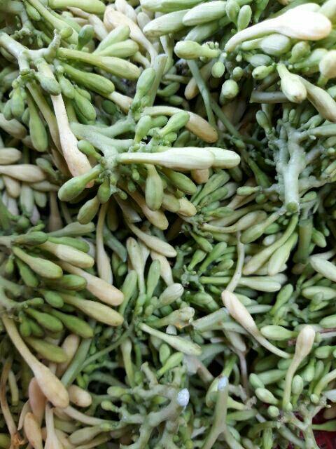 500G HOA CÂY ĐU ĐỦ KHÔ