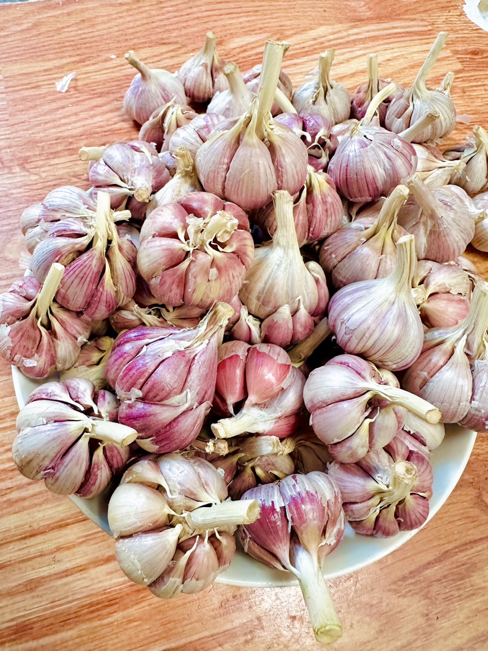 (RẺ HUỶ DIỆT)#1kg Tỏi Tím rặc lựa từng củ đảm bảo chất lương không hư bất kỳ củ nào ( #toicodon #toitimbac #toilyson,hành tím,tỏi tím,tỏi đen)