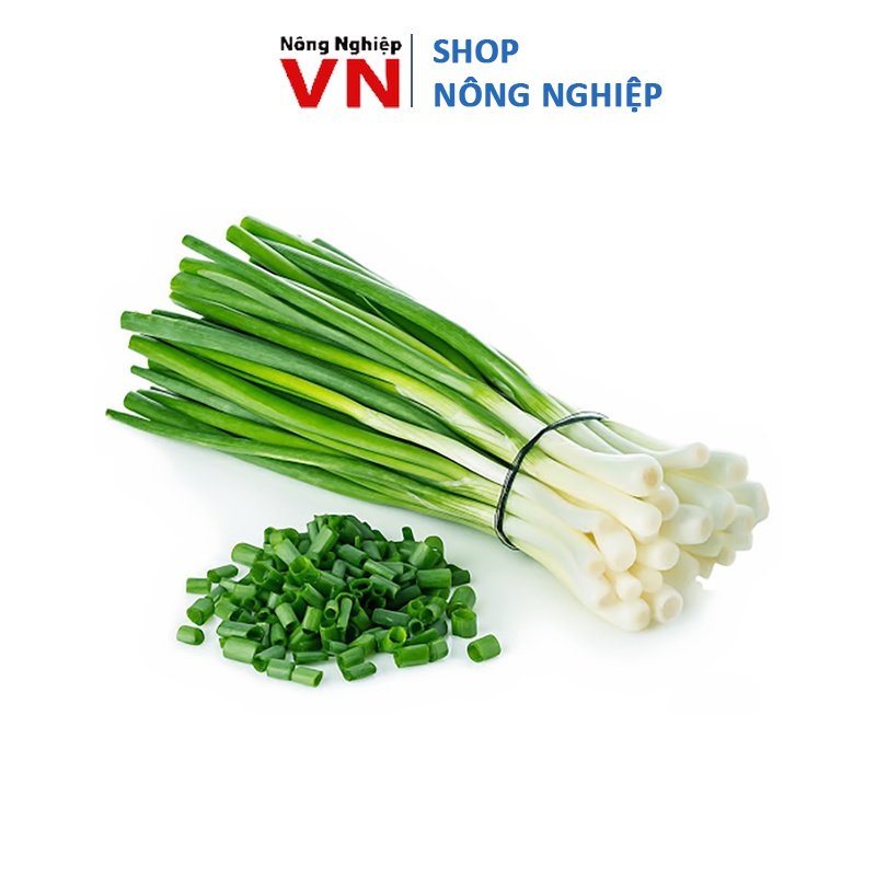 5Gr Hạt giống hành lá, hành hoa dễ trồng làm gia vị, rau thơm