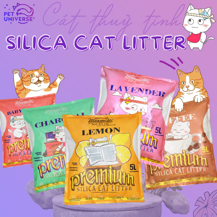 Meowcat- Cát thủy tinh cho mèo/ Silica gel cat