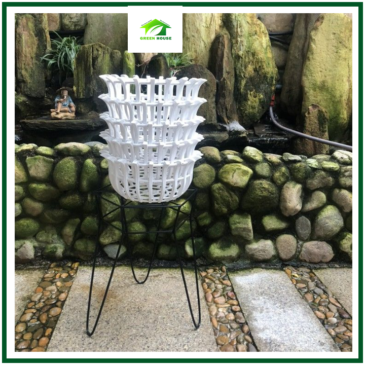 Combo 5 Chậu nhựa treo lan phi 25cm