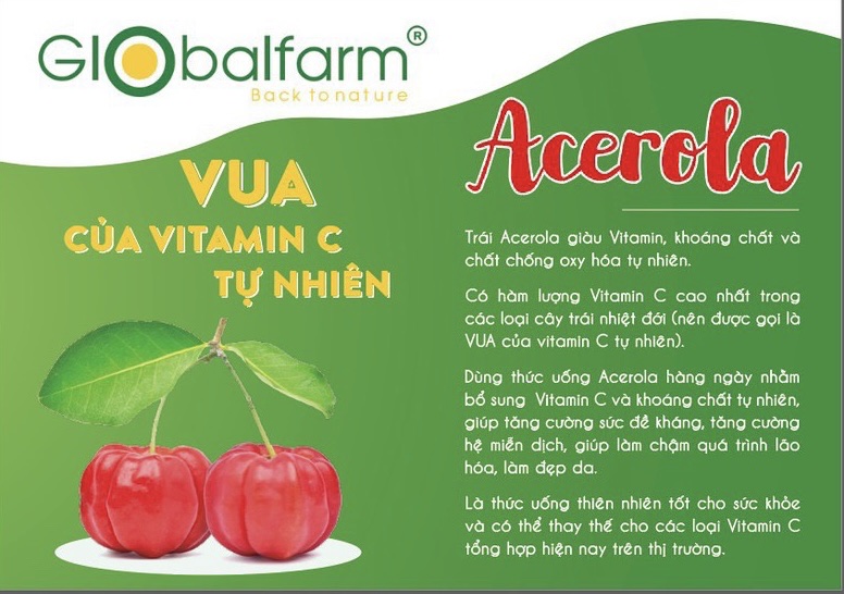 Bột Acerola - Vua của Vitamin C tự nhiên