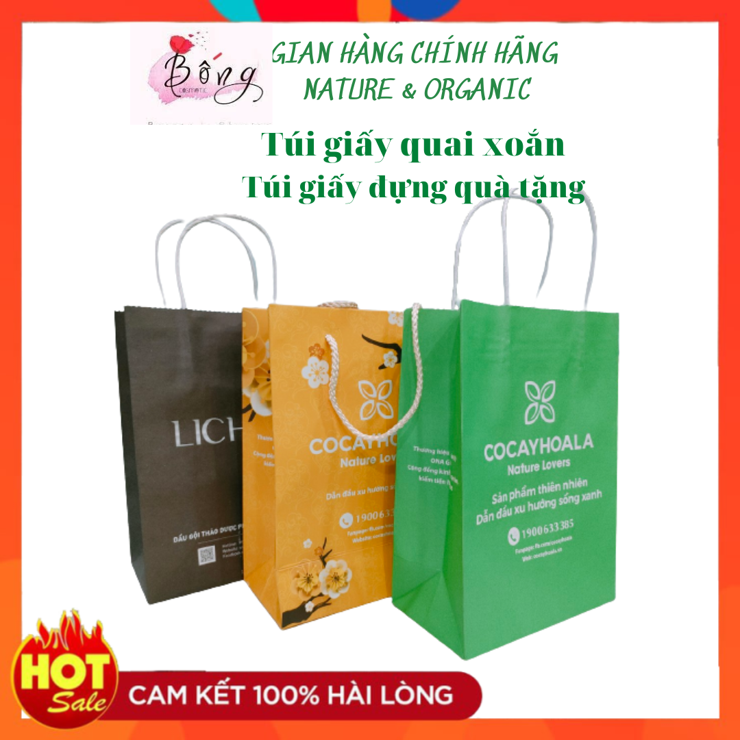 Túi giấy đựng quà tặng, túi giấy quai xoắn kích thước 25x17x9
