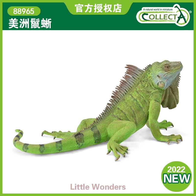 UK CollectA I you he lizard insect reptile animal model toy 88965 American