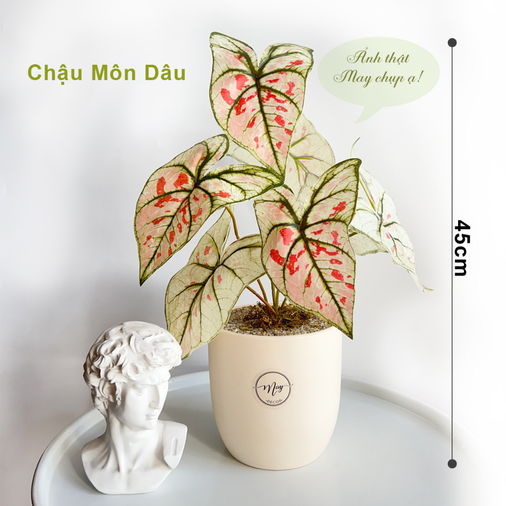 Cây giả, Chậu Môn Dâu để bàn trang trí cao 45cm
