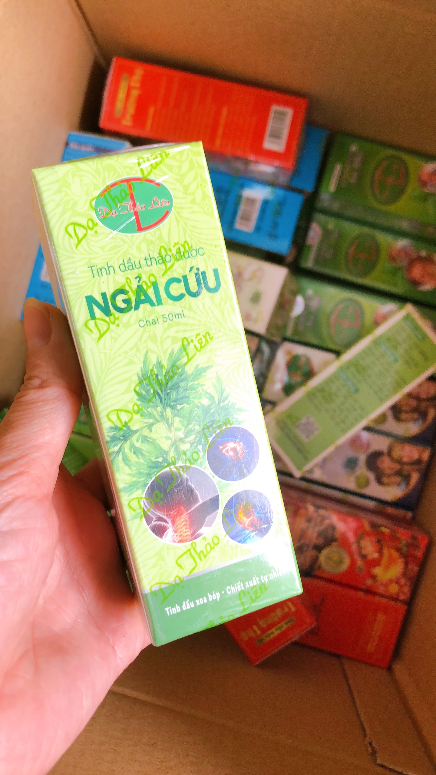 Tinh dầu ngải cứu xoa bóp xương khớp, tinh dầu thảo dược Dạ Thảo Liên
