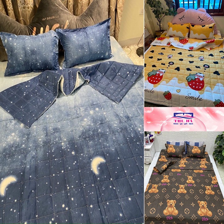 Bộ Chăn hè Ga Gối Cotton Poly Combo 4 Món - Ib chọn thêm nhiều mẫu