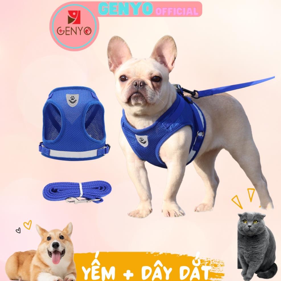 Dây dắt yếm cho chó mèo - dây dắt 016