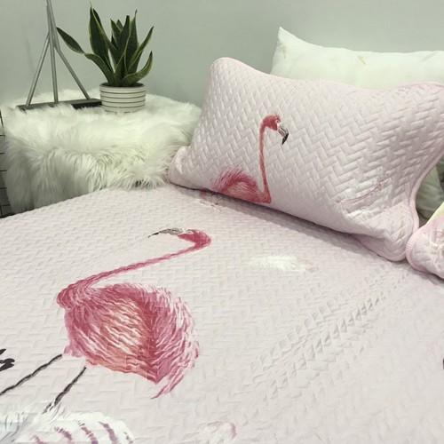 Chiếu điều hòa cao cấp Tencel 3D tặng kèm 2 vỏ gối