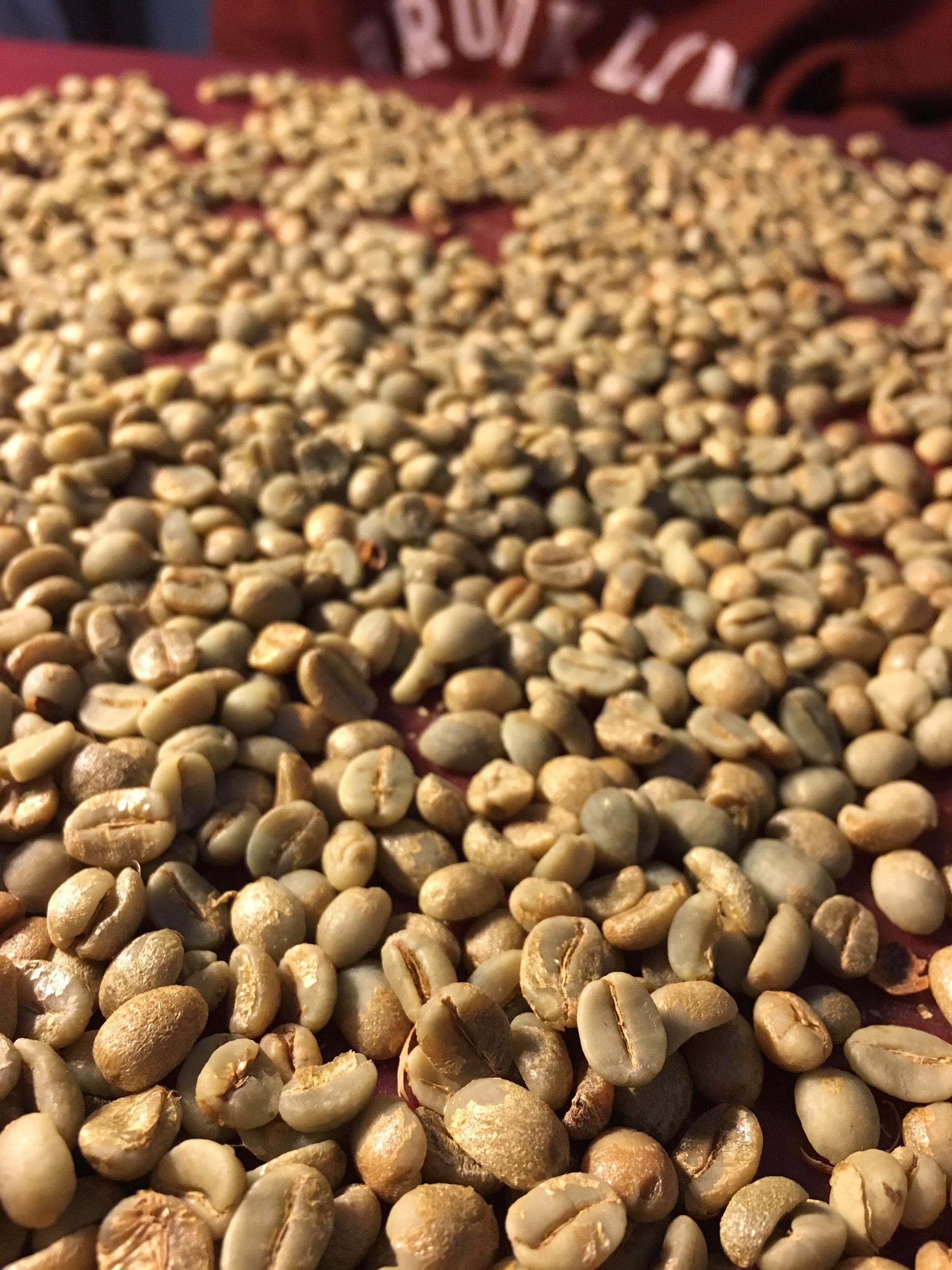 Cà phê nhân xanh hạt chưa rang arabica sơn la 5kg natural