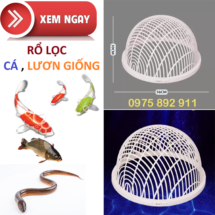 RỔ LỌC CÁ , LƯƠN GIỐNG CHUYÊN NGHIỆP