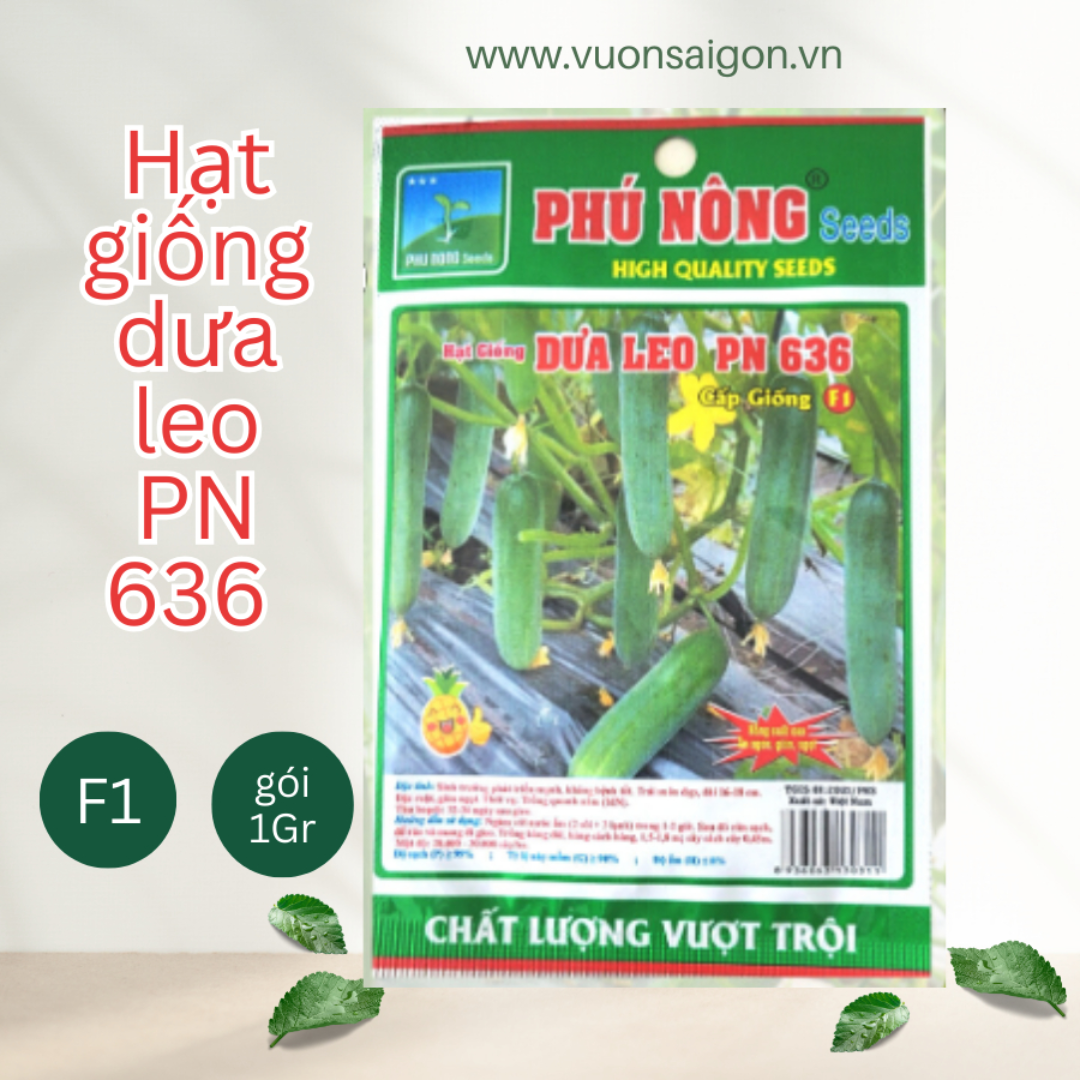 Hạt giống dưa leo F1 siêu năng suất PN-636 1gr, hạt giống chắc khỏe, tỉ lệ nẩy mầm cao