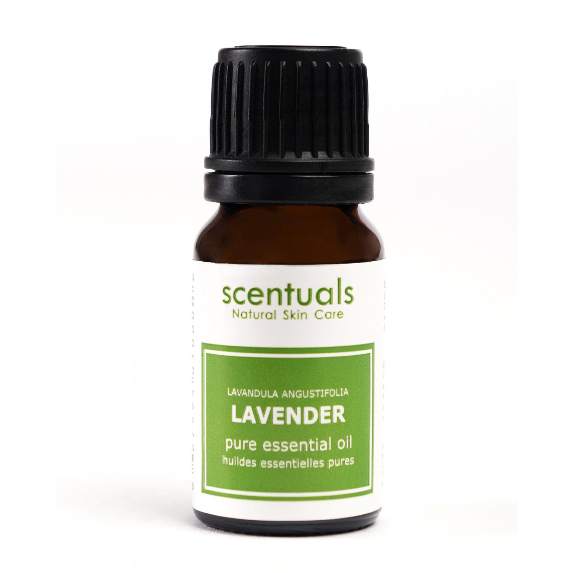 Tinh dầu oải hương nguyên chất Scentuals Lavender pure essential oil 10ml