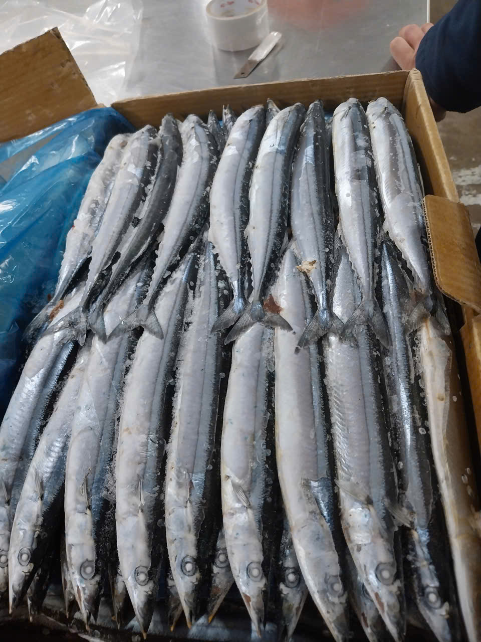 Cá THU DAO túi 1kg_tươi ngon hàng cấp đông (Giao hcm 2h hoả tốc)