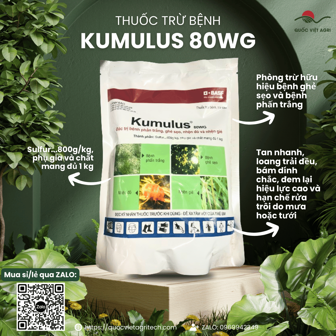 Thuốc trừ bệnh - kumulus 80wg - 1kg