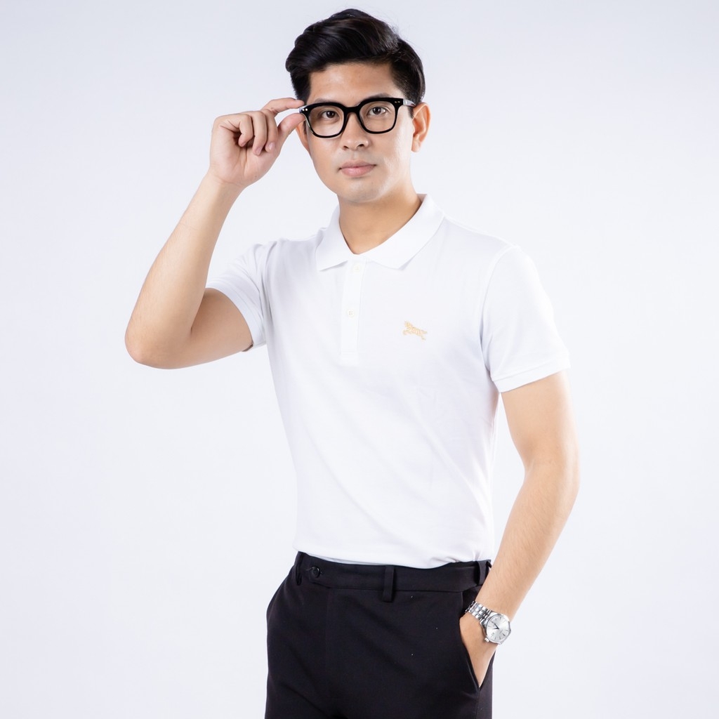 Áo Thun Polo nam trơn cổ trụ thêu hình ngựa thời trang cao cấp sang trọng Faviti AT04