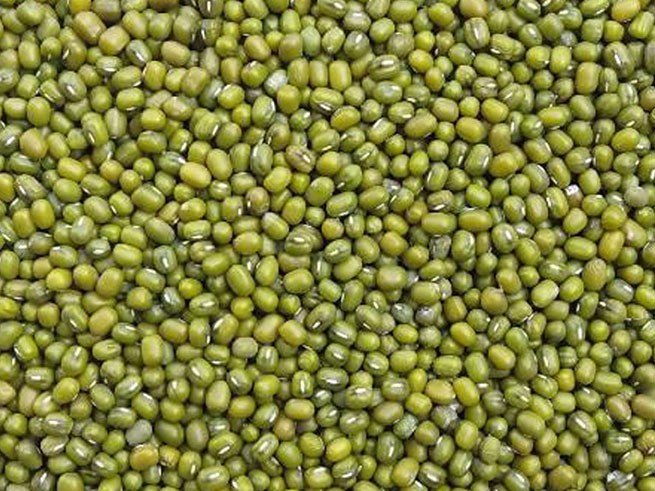 Hạt đậu xanh làm giá đỗ 1kg