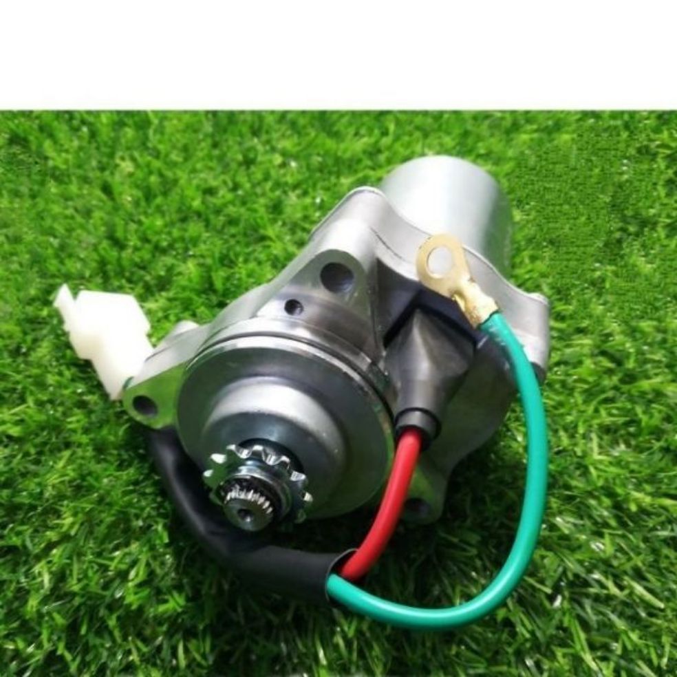 Củ đề dim wase cao cấp