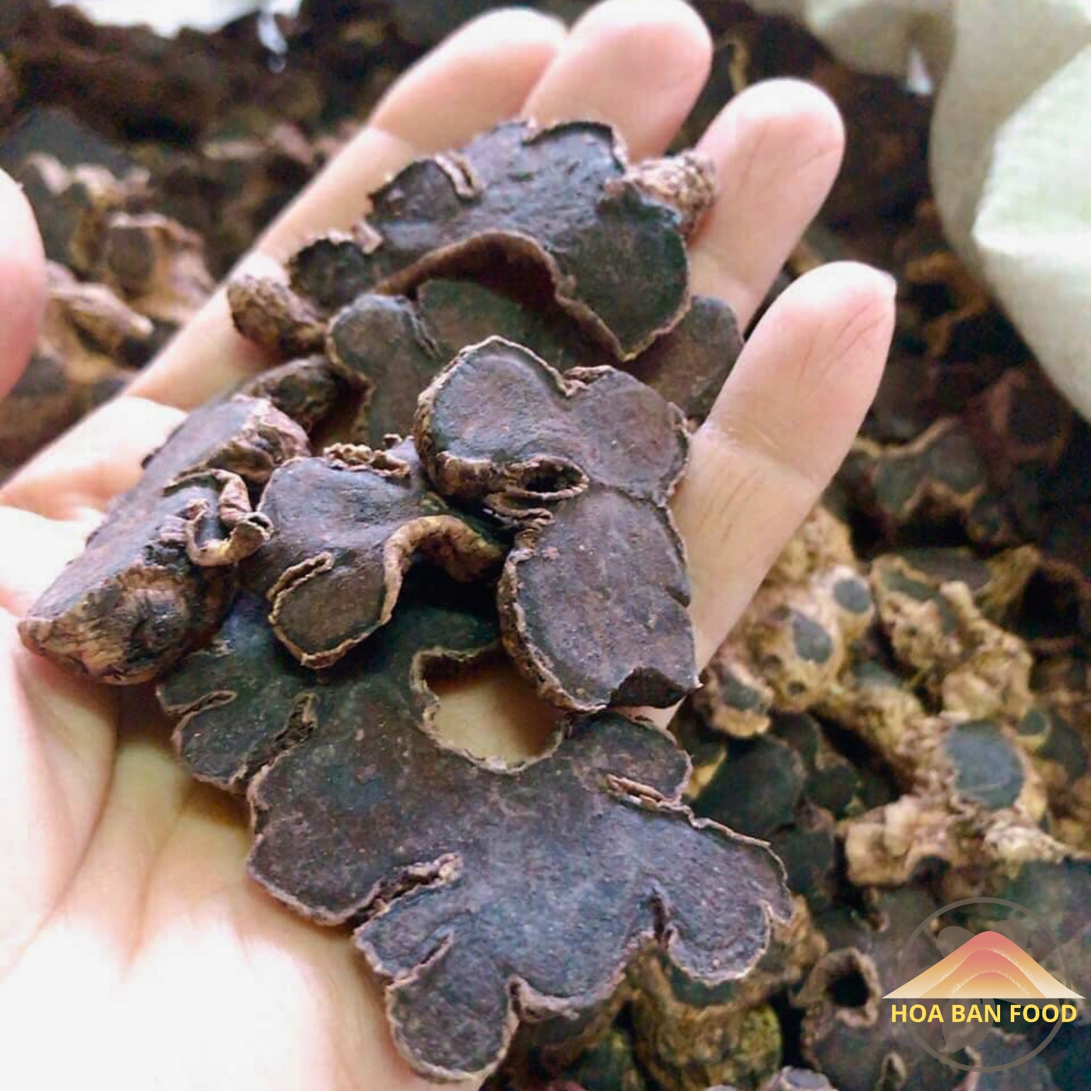 Gừng đen khô Tây Bắc loai 1 được sấy khô từ gừng đen tươi Lai Châu kích thích tiêu hóa, kháng khuẩn, chống nấm, hạ đường huyết cho người tiểu đường