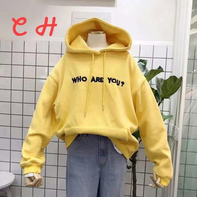 [HCM]Áo Hoodie Nam Nữ Form Rộng Có Túi  Who Are You Thời Trang