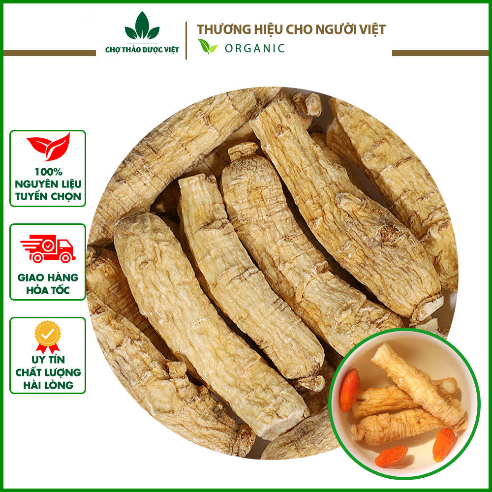 100g bạch sâm - bổ khí dưỡng âm,thanh nhiệt