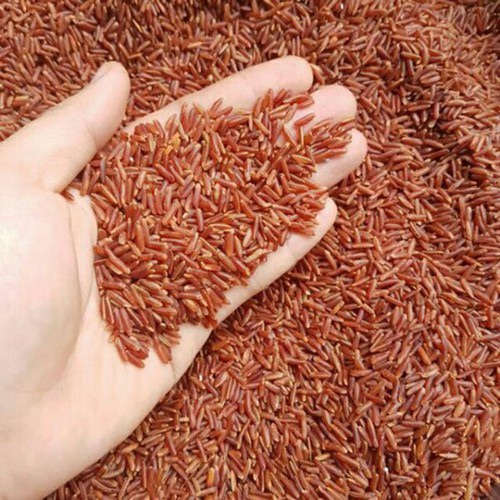 Gạo lứt huyết rồng Organic An House