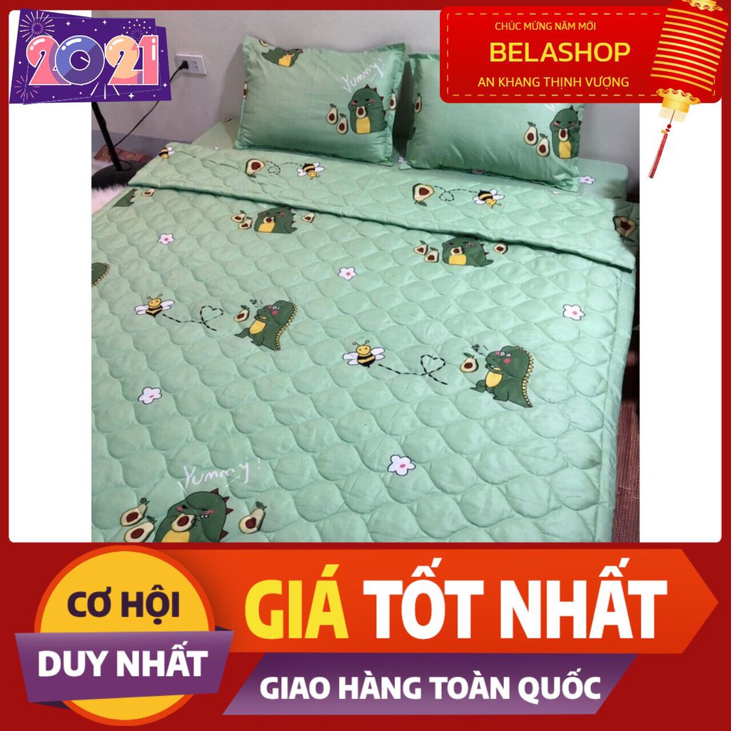 [HCM]Chăn hè thu trần bông 3 lớp poly mền trần bông mẫu khủng long bơ
