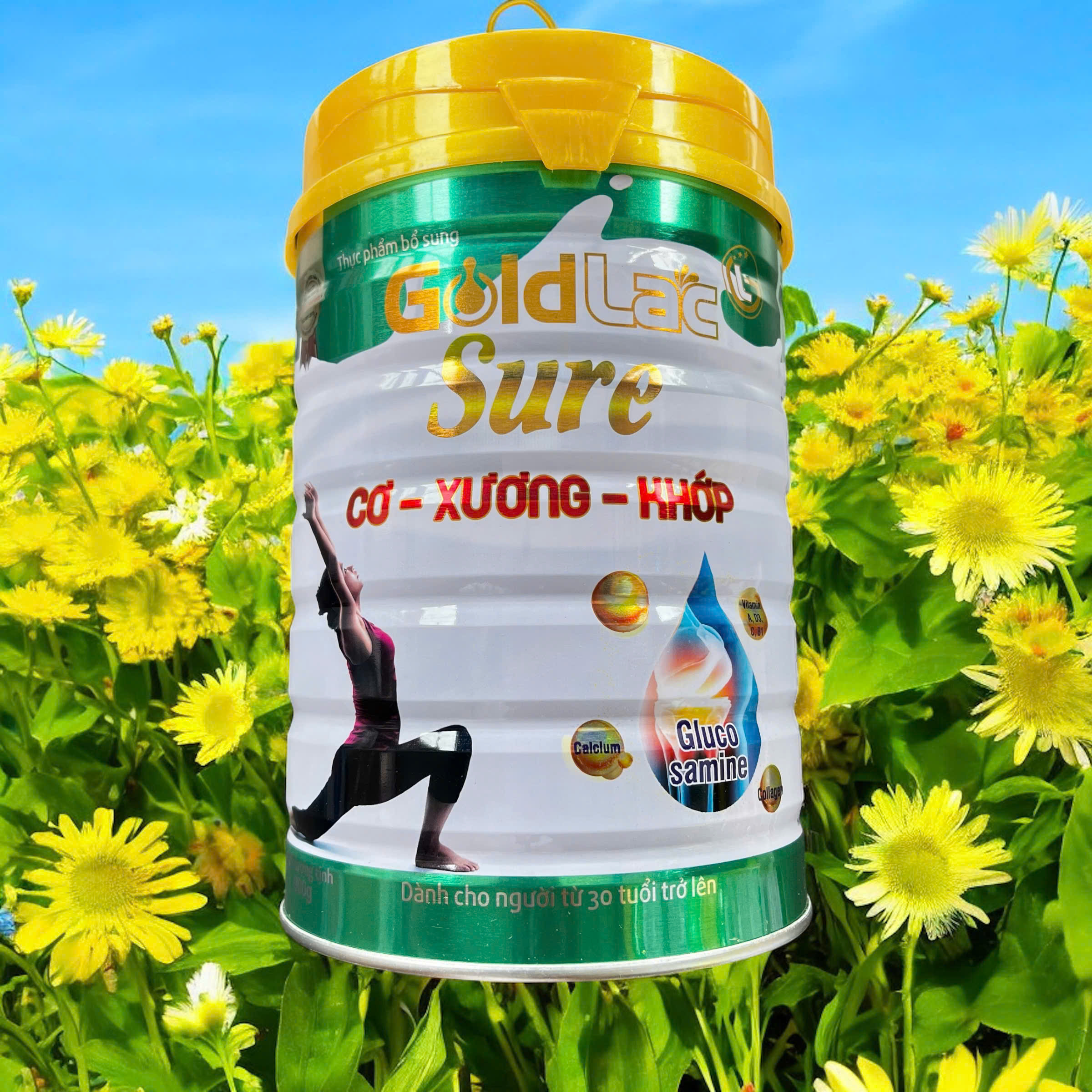 Sữa Xương Khớp Goldlac Sure 900g – Khuyên dùng cho người già loãng xương tiểu đường tim mạch huyết áp - Sữa tốt cho người đau xương khớp
