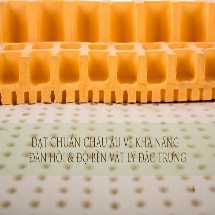Nệm 100x200x5cm cao su thiên nhiên vạn thành standard tặng 2 gối nằm + 1 áo nệm có khóa kéo + 1 ga bọc nệm
