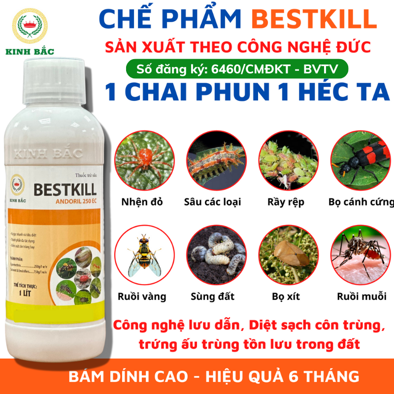 Thuốc Diệt Côn Trùng BESTKILL Công Nghệ Đức Trừ Sâu Bọ Rầy Rệp Sâu Ăn Lá Ấu Trùng Trên Lá Và Dưới Đất Công Nghệ Lưu Dẫn Hai Chiều Chai Phun 1 Hecta Chai 1000ml