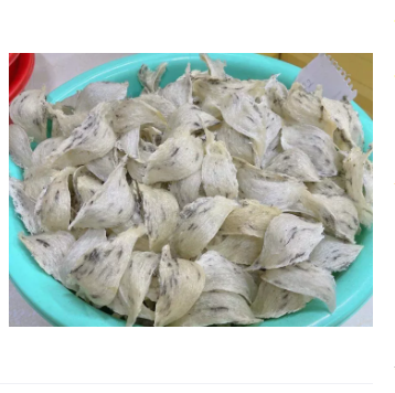 Tổ yến thô già gân tổ yến nhà nuôi nguyên chất lông ít dễ nhặt
