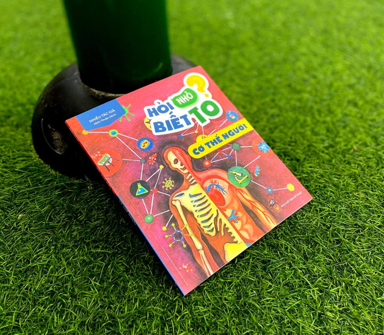 Sách hỏi nhỏ biết to - cơ thể người