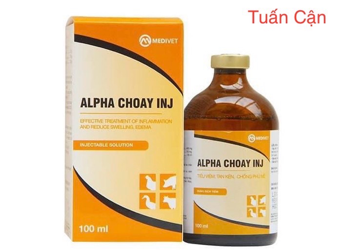 Medivet Alpha Choay (100ml) Tiêu Viêm, Tan Kén, Chống Phù nề, tan máu bầm chuyên dụng cho gà đá và vật nuôi trong thú y
