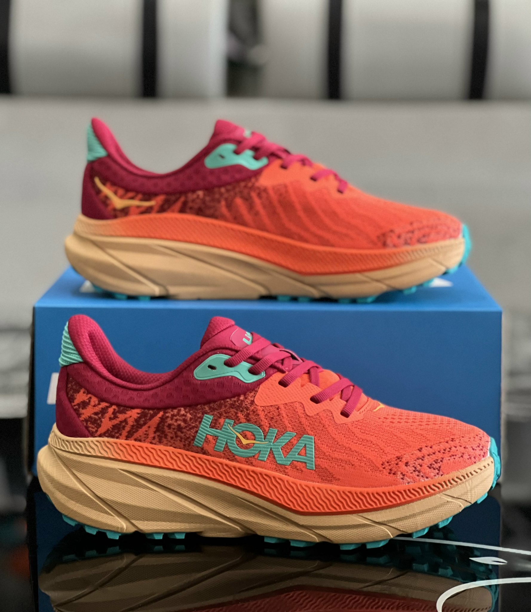 Giày địa hình, trail, trekking Hoka one one clifton 9 , speed 4