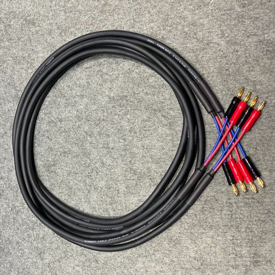 Dây loa Sommer bộ gồm jack như hình dài 2.5m mỗi vế