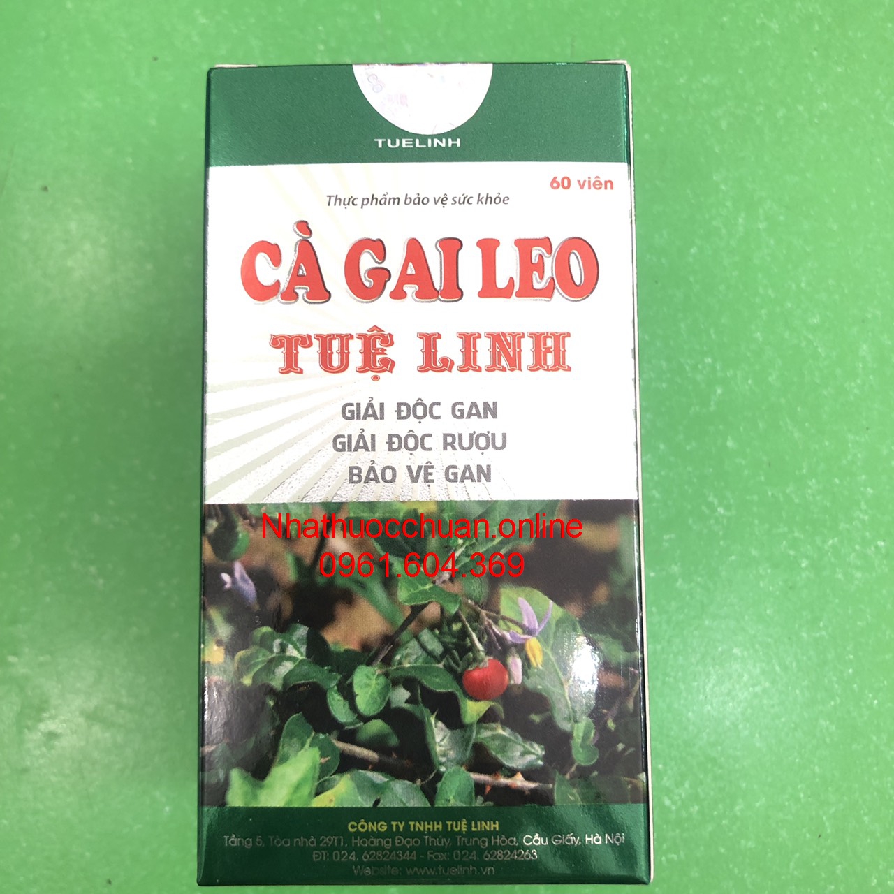 Cà gai leo Tuệ Linh ( Hộp 60 viên)